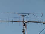 SHF antenna