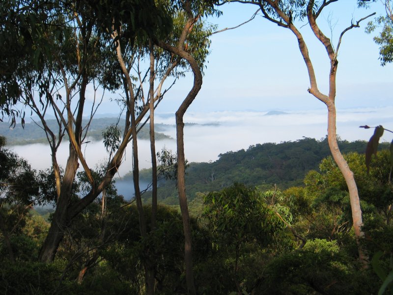 On the way to VK2ATZ portable operation site