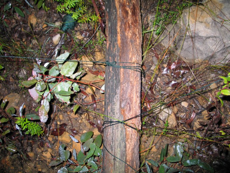Guying ropes