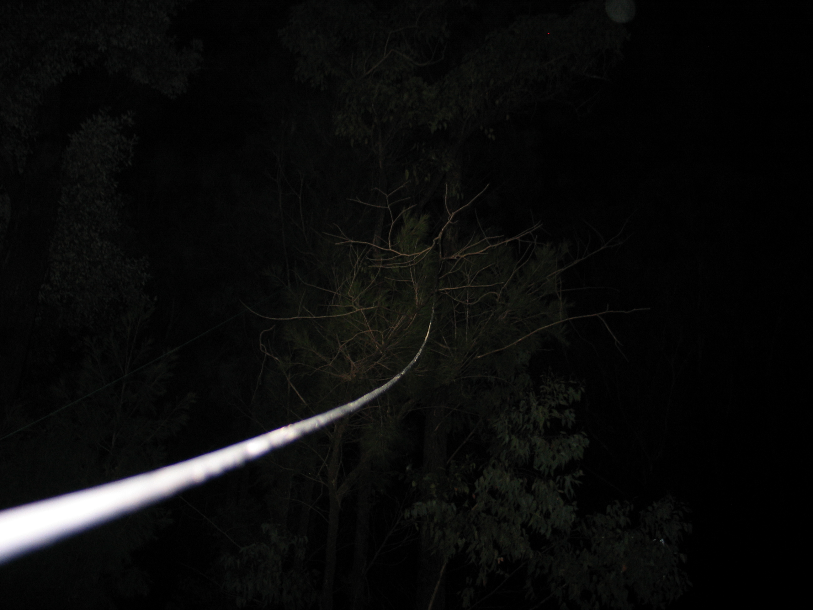 Can you spot the dipole? High enough..