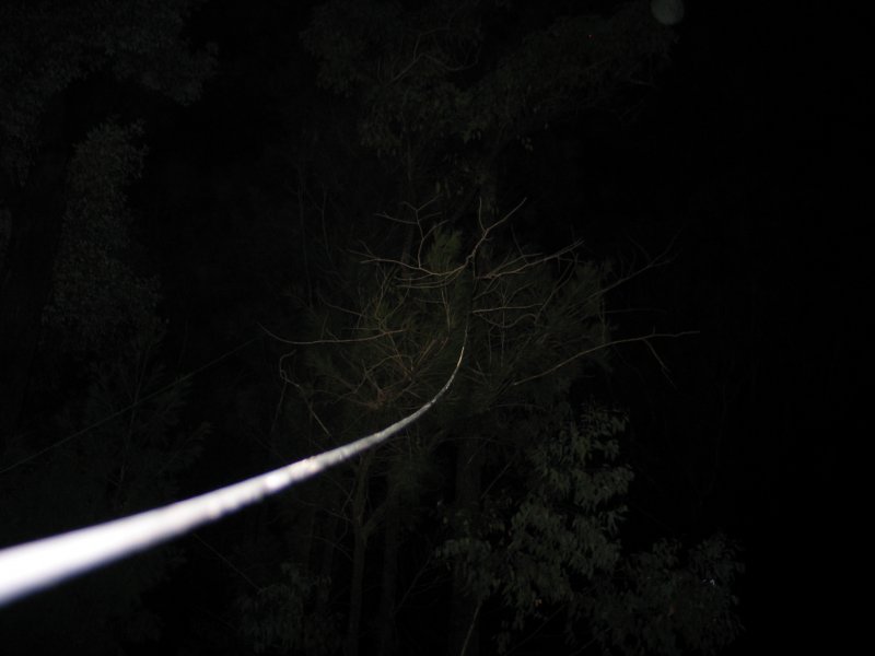 Can you spot the dipole? High enough..