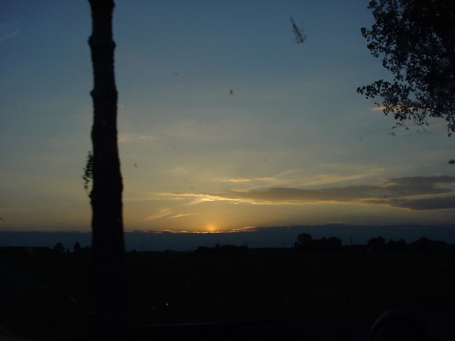 DSC00223