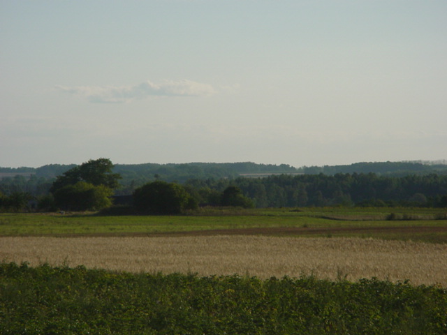 DSC00123
