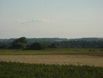 DSC00123