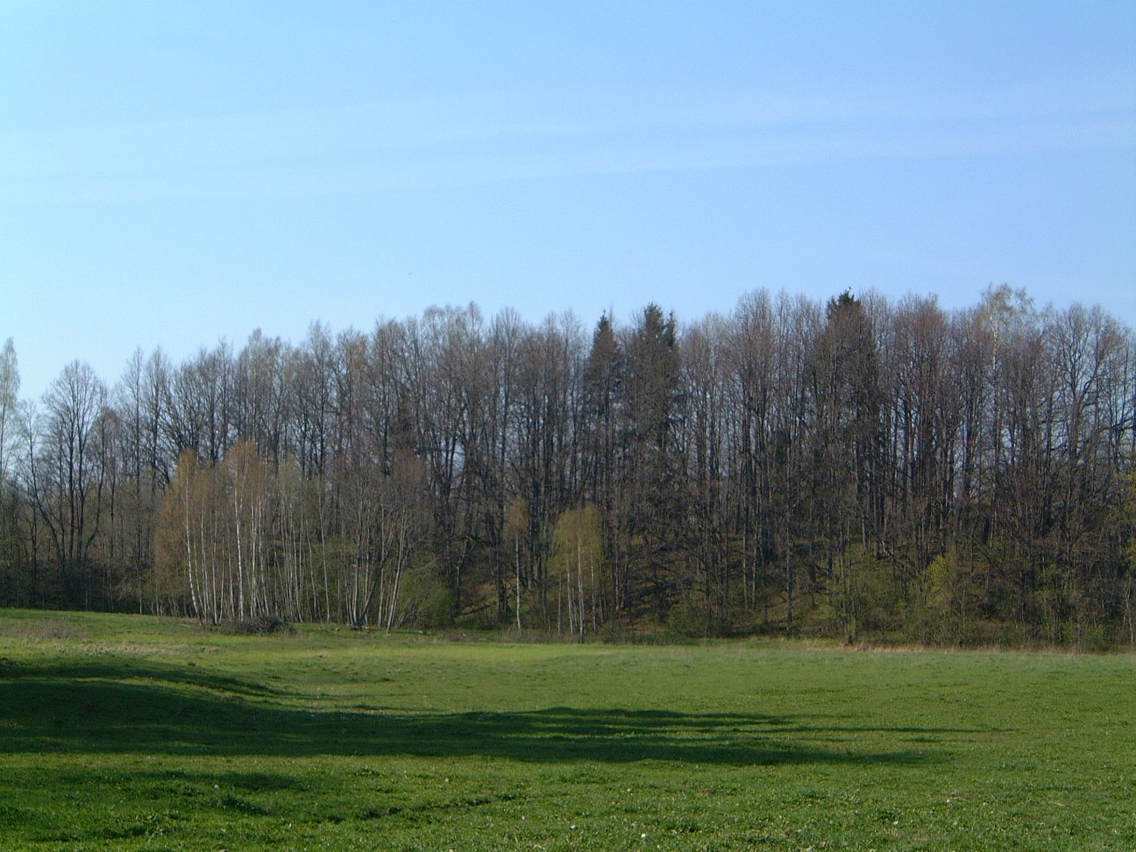 TE-29 iš toliau