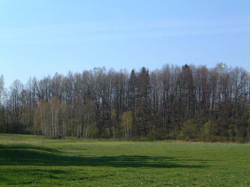 TE-29 iš toliau