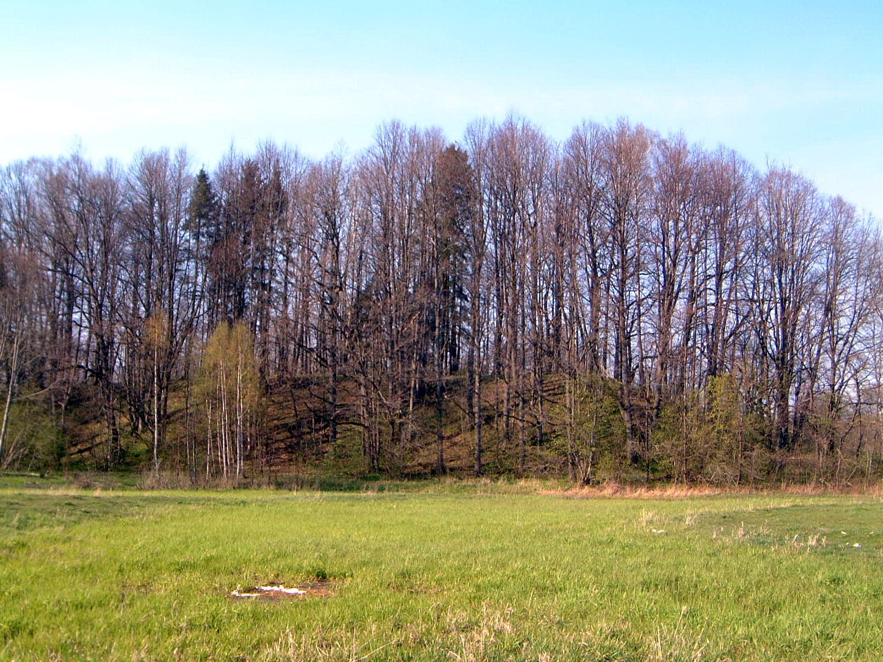 TE-29 iš arčiau
