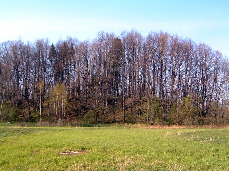 TE-29 iš arčiau