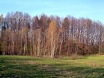 TE-29 iš arti