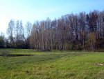 TE-29 iš pietryčių pusės