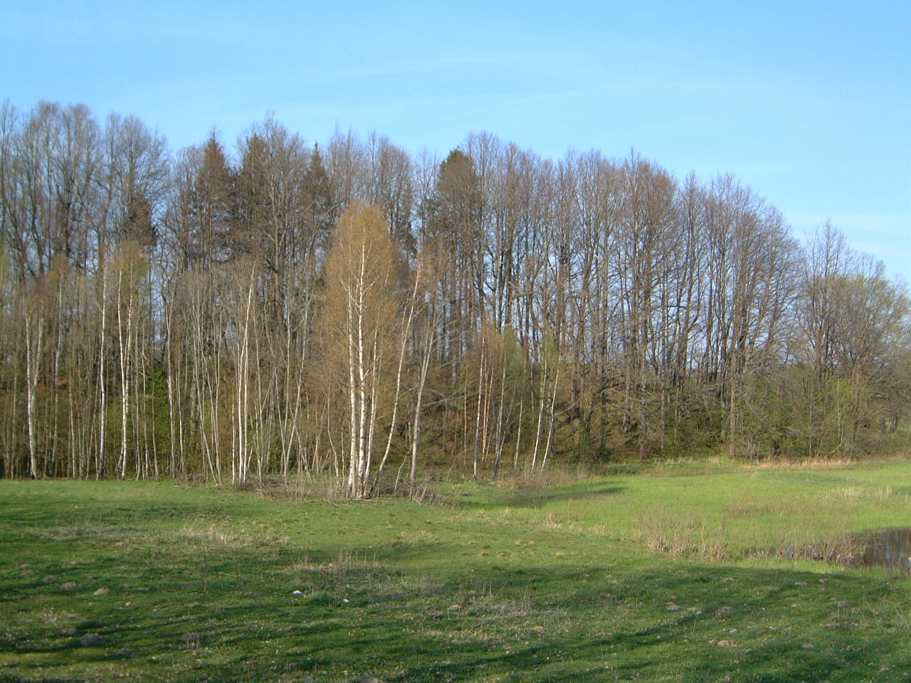 TE-29 vaizdas iš pietvakarių pusės