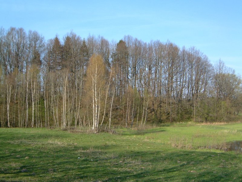 TE-29 vaizdas iš pietvakarių pusės