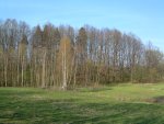 TE-29 vaizdas iš pietvakarių pusės