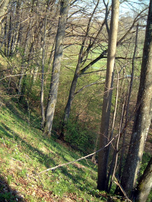TE-29 pietinis šlaitas