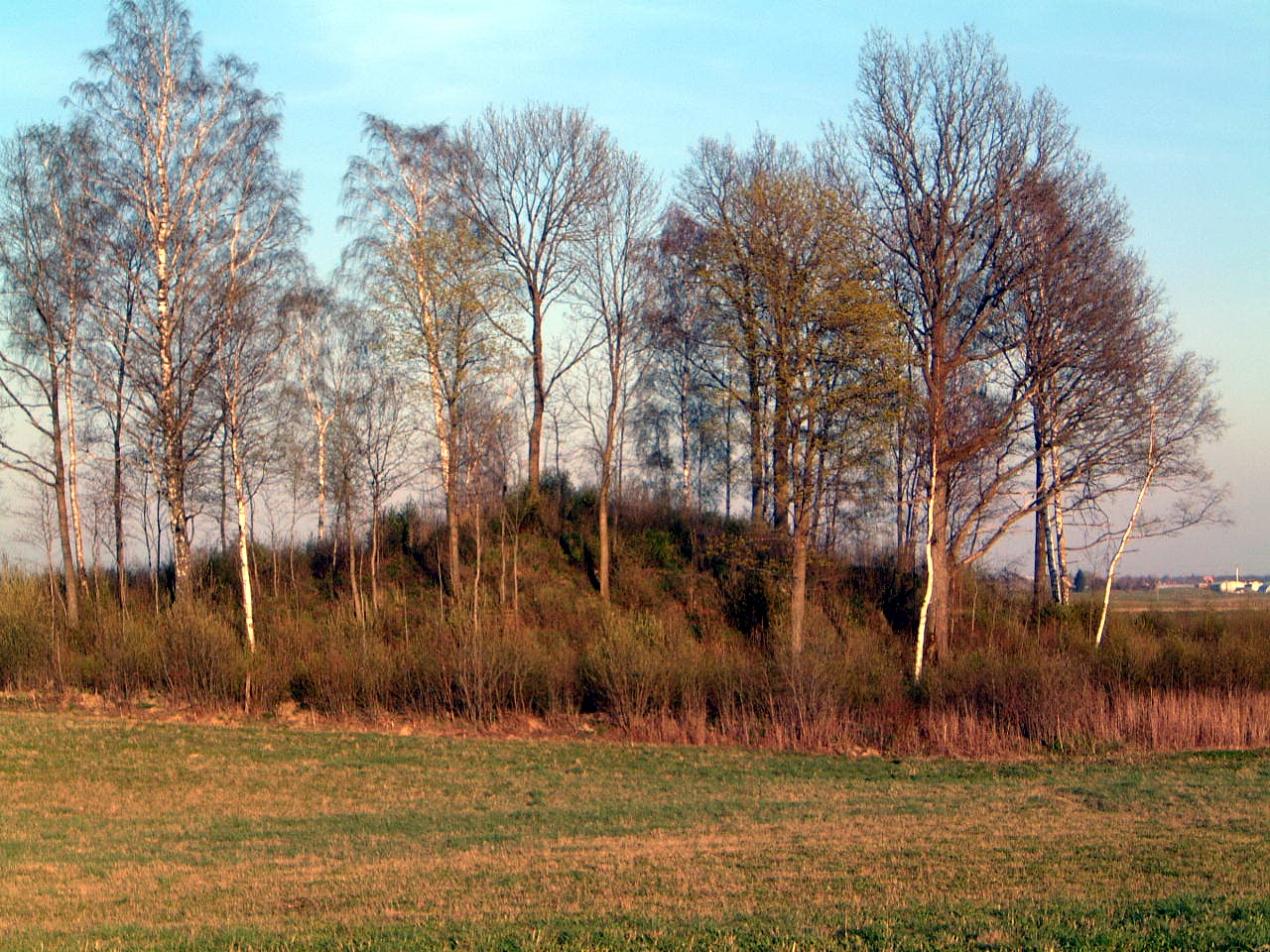 TE-35 iš arčiau