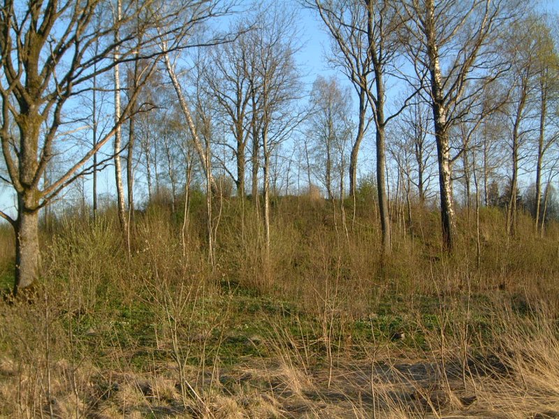 TE-35 viršūnė