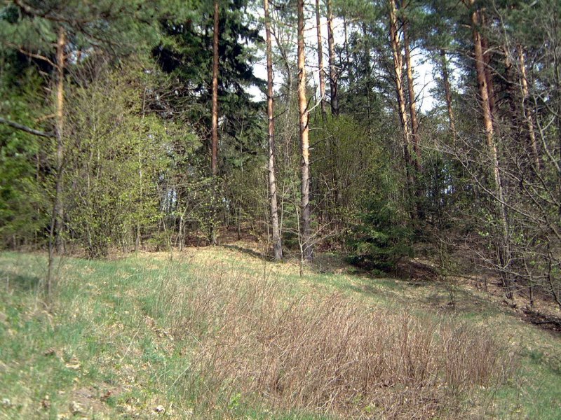 TE-33 Link viršūnės