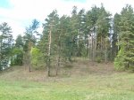 TE-33 Pietvakarių pusė iš arčiau