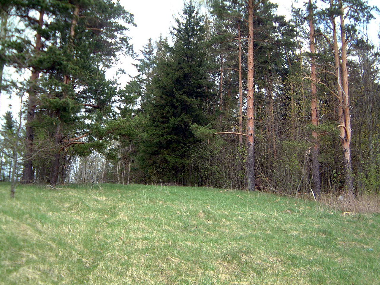 TE-33 Prieigos