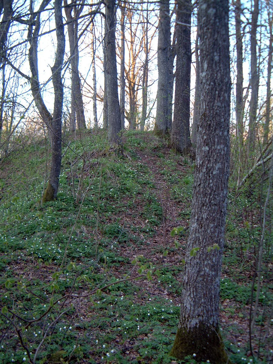 TE-36 Įkalnė