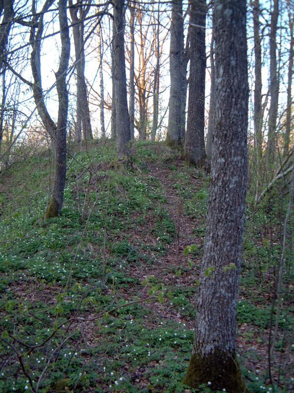 TE-36 Įkalnė
