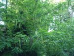 DSC00136