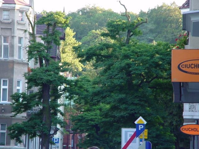 DSC00145