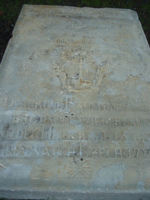 DSC00154