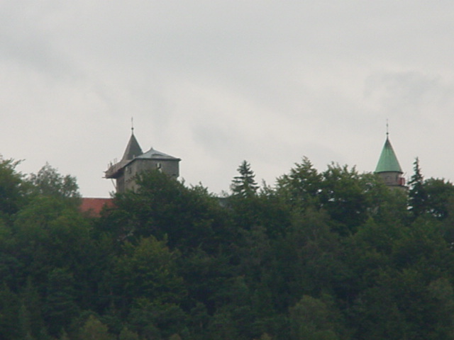 DSC00785