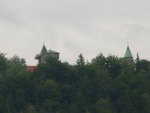 DSC00785