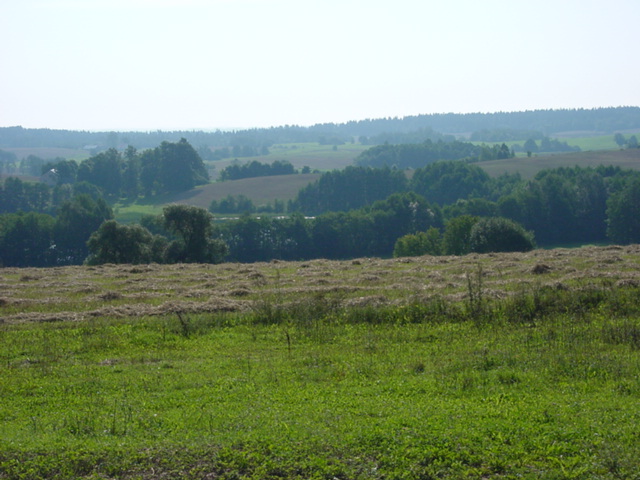 DSC00001