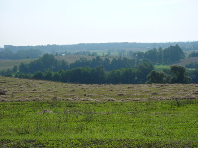 DSC00002