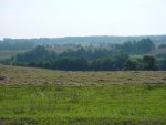 DSC00002