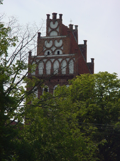 DSC00006
