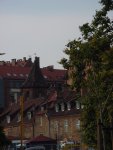 DSC00026