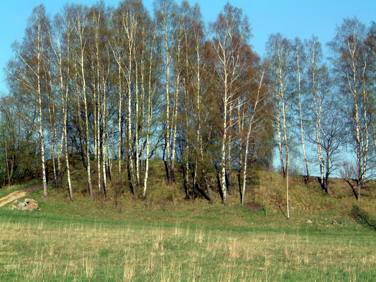 TE-11 Vakarinė piliakalnio dalis