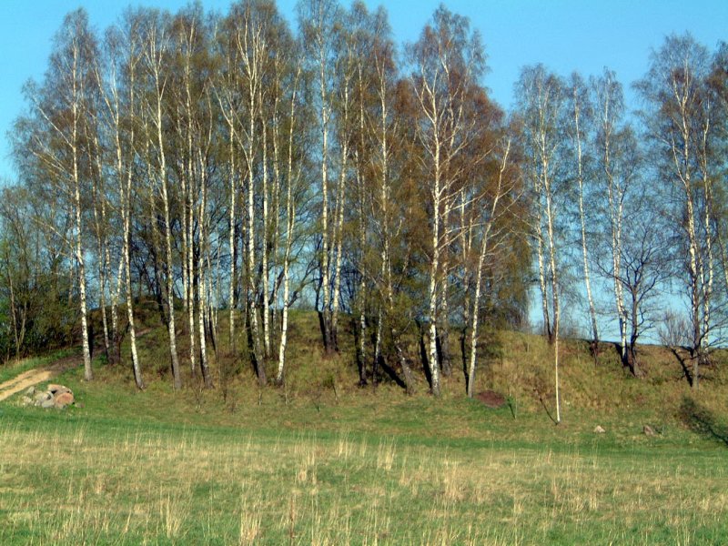 TE-11 Vakarinė piliakalnio dalis