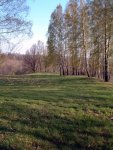 TE-11 Viršūnės fragmentas