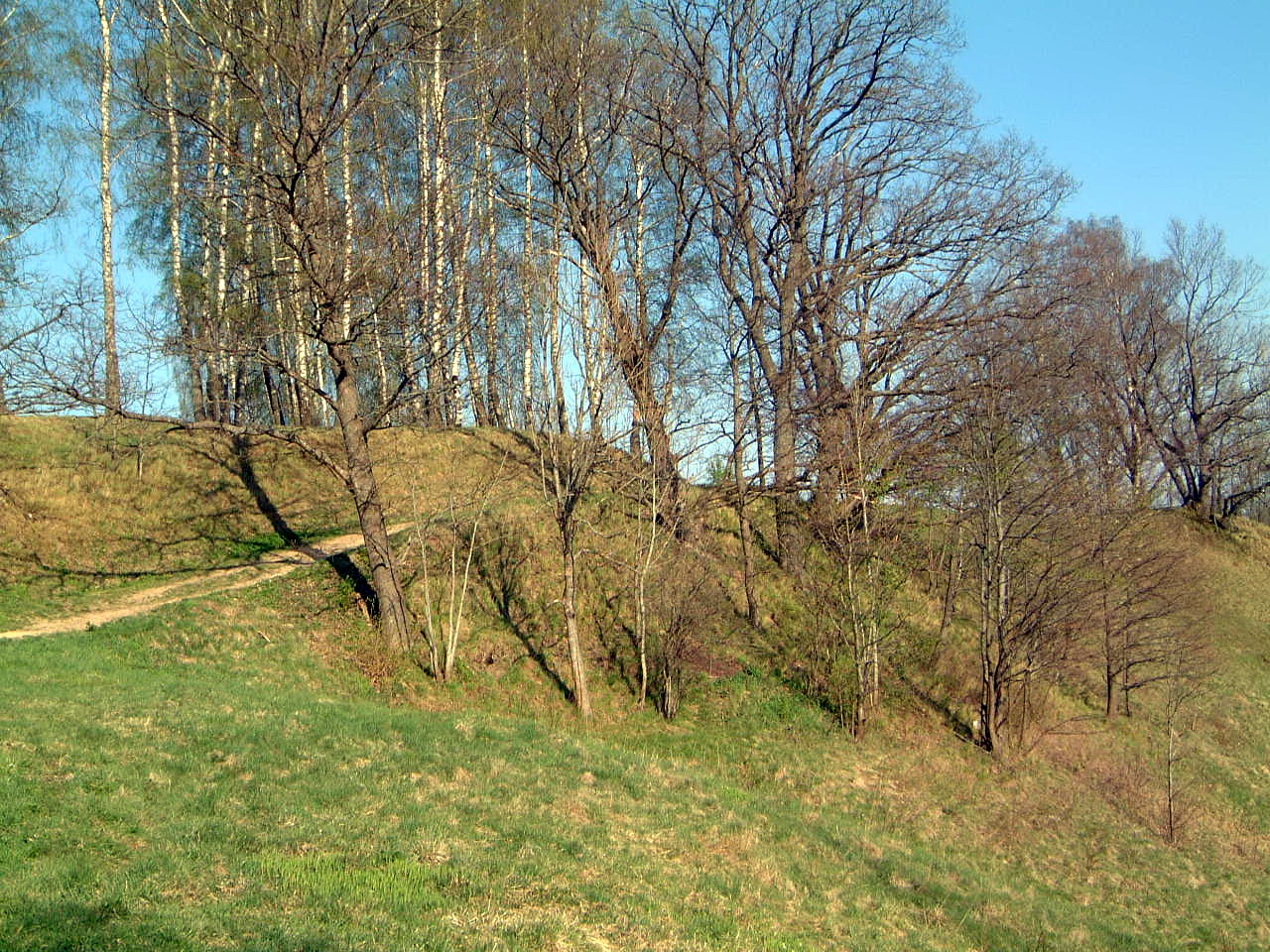 TE-11 Kelias į pilakalnį