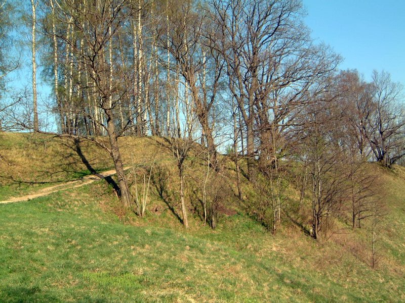 TE-11 Kelias į pilakalnį