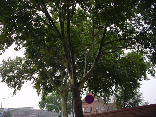DSC00127