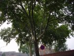 DSC00127