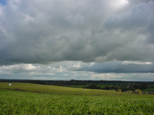 DSC00134