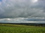 DSC00134