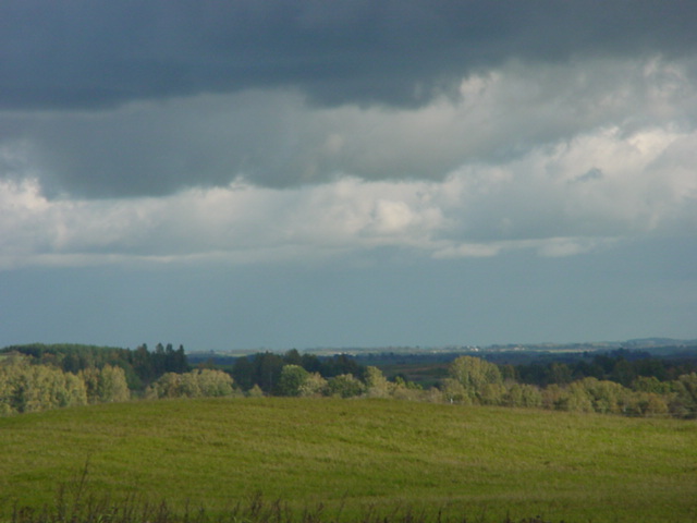 DSC00135