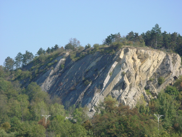 DSC00854