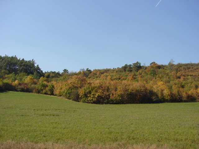 DSC00859