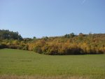 DSC00859