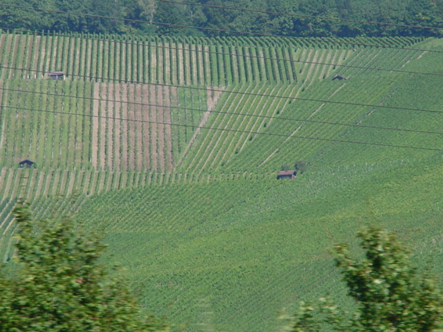 DSC00882