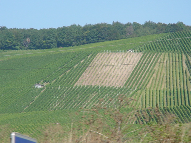 DSC00883